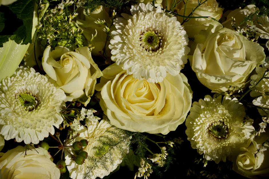 A close-up image of a floral arrangement featuring creamy white roses with softly curled petals, complemented by white gerbera daisies with layered petals and dark centers, all arranged with green fol